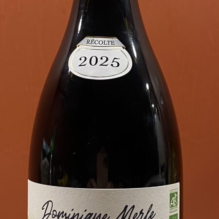 Beaujolais Villages BIO 2025